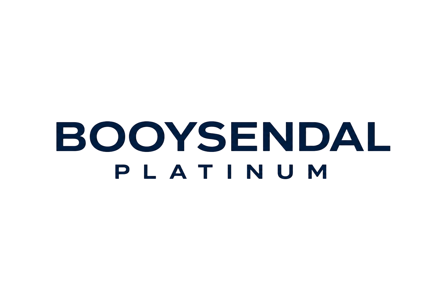 Booysendal Platinum logo